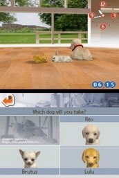 TÉLÉCHARGER NINTENDOGS DS DS TÉLÉCHARGER NINTENDOGS